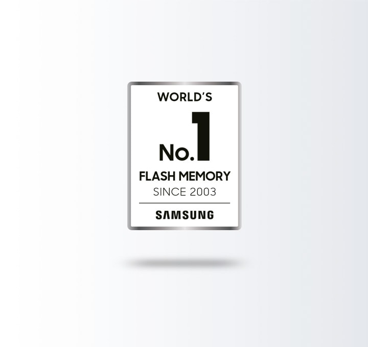 The worlds number one for flash memory