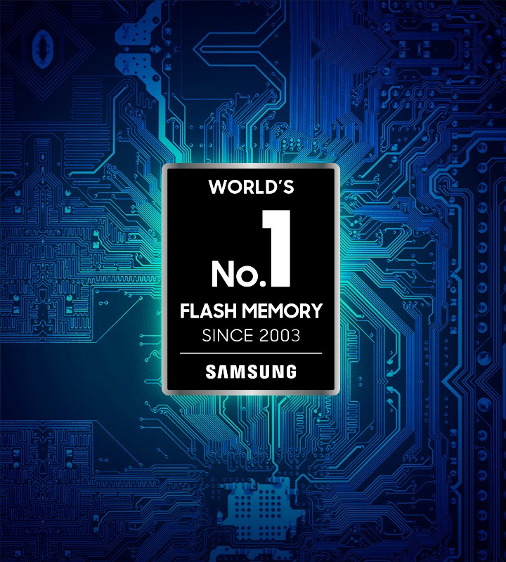 Worlds No.1 Flash Memory