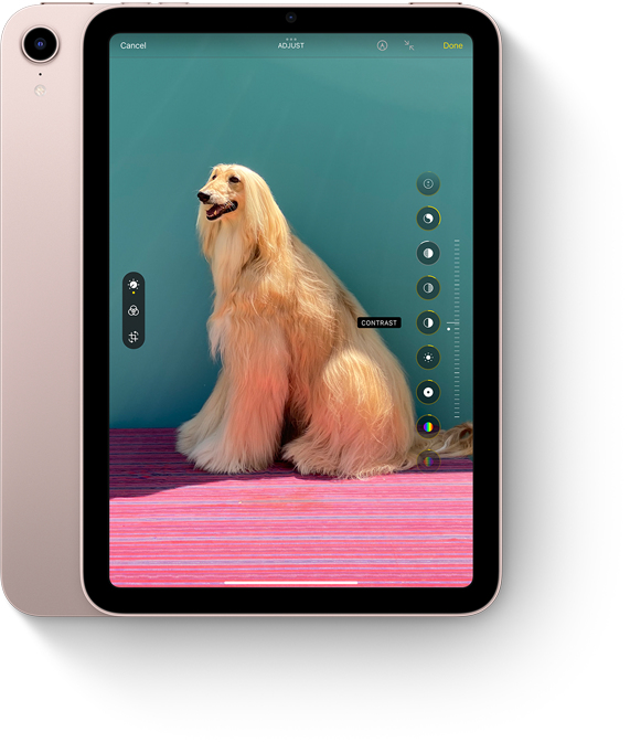Ultra Wide camera. Ultra-fun possibilities.