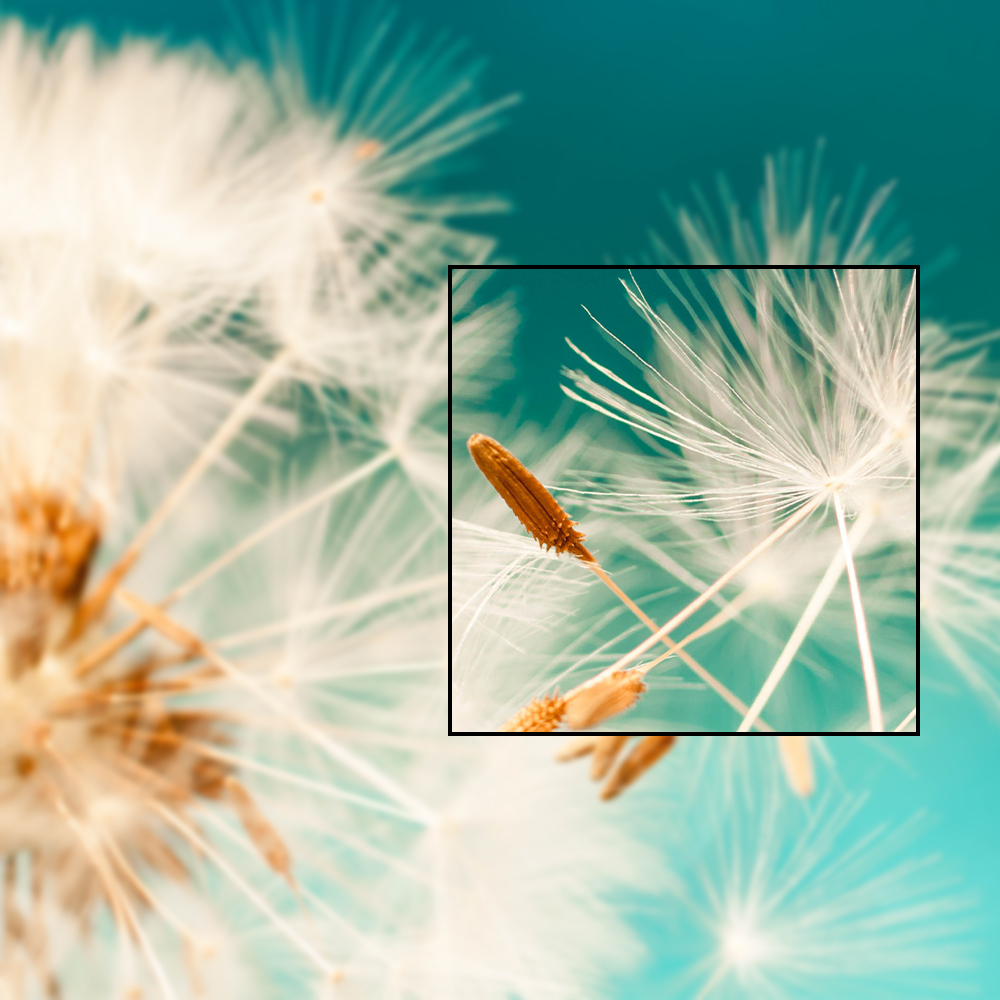 <b>FHD Resolution</b>