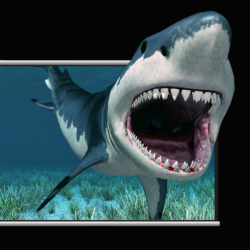 <b>HDMI 3D Display</b>